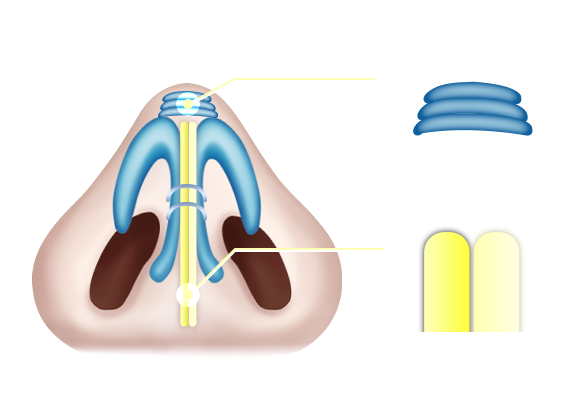 이미지 제목