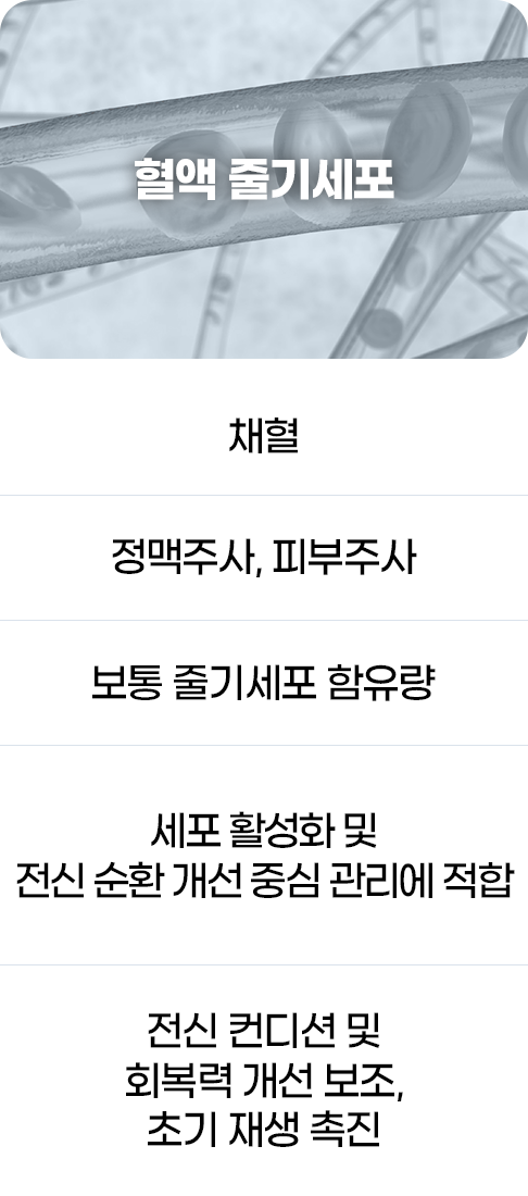 디에이 줄기세포
