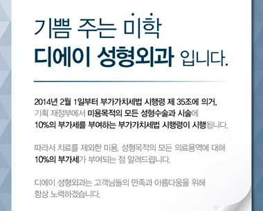 2014년 2월1일 부가가치세법시행령, 10% 부가세 부여